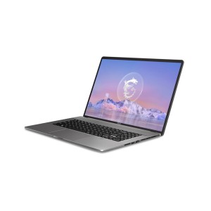 MSI CREATOR 17" Z17HX STUDIO A13VFT-037TR I7-13700HX RTX4060 GDDR6 8GB 32GB DDR5 1TB SSD QHD+ 165Hz TOUCH W11P Notebook