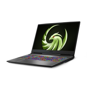 MSI ALPHA 17 B5EEK-005XTR R7-5800H 16GB DDR4 RX6600M GDDR6 8GB 512GB SSD 17.3" FHD FreeDos Gaming Notebook
