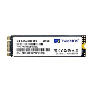TwinMOS NGFFEGBM2280 256GB SATA3 NVMe M.2 2280 SSD 3DNAND Okuma Hızı 580MB / Yazma Hızı 550MB