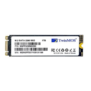 TwinMOS NGFFGGBM2280 1TB SATA3 3DNAND M.2 SATA SSD Okuma Hızı 580MB / Yazma Hızı 550MB