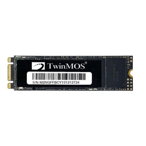 TwinMOS NGFFEGBM2280 256GB SATA3 NVMe M.2 2280 SSD 3DNAND Okuma Hızı 580MB / Yazma Hızı 550MB