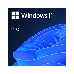 Windows 11 Pro 64 Bit Türkçe DVD Kutulu