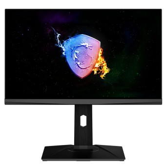 MSI OCULUX NXG253R 24.5" 360Hz 1Ms FHD IPS G-SYNC HDR 400 FLAT Gaming Monitör