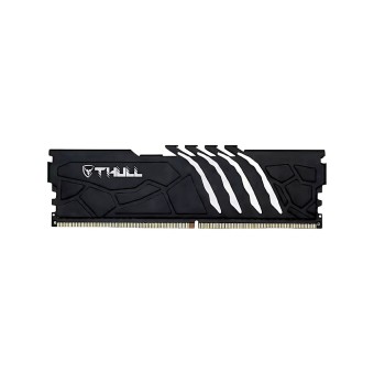 Thull Vortex 16GB (1x16) DDR5 5600MHz CL46 PC Ram-THLPCVTX44800D5-16G-B